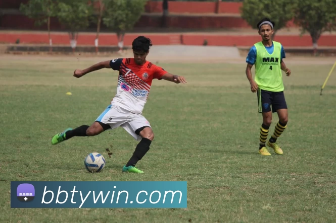 百博体育官网平台生态图